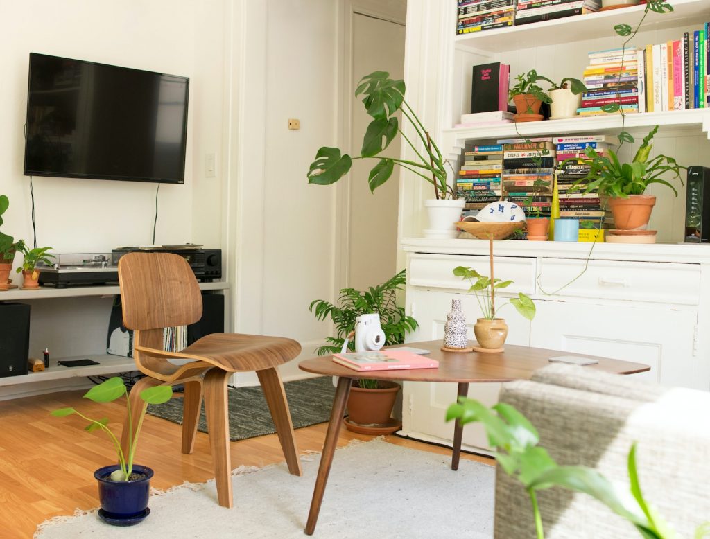 how to decorate living room with indoor plants