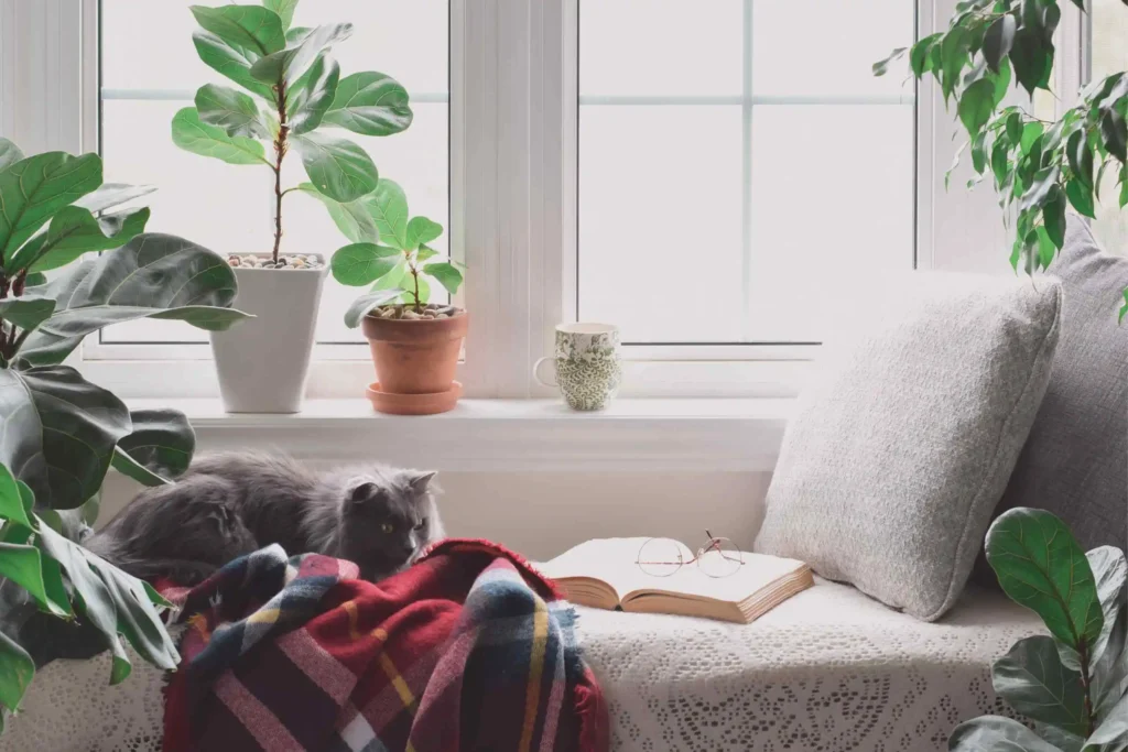 Cozy Reading Nook